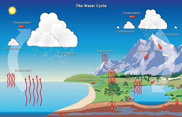     The water cycle on Earth
Conserve water, reduce your
bottled water usage & make your
own fresh alkaline drinking water 
at home in unlimted quantities. 
                  Contact Us